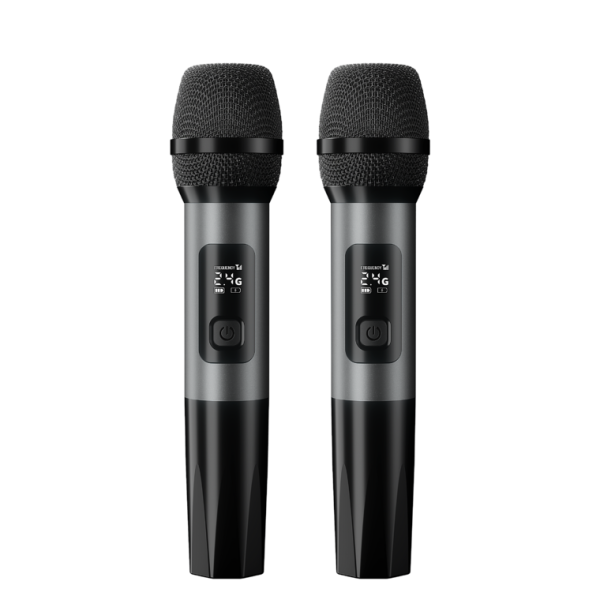 Vivax Mikrofon MC-2